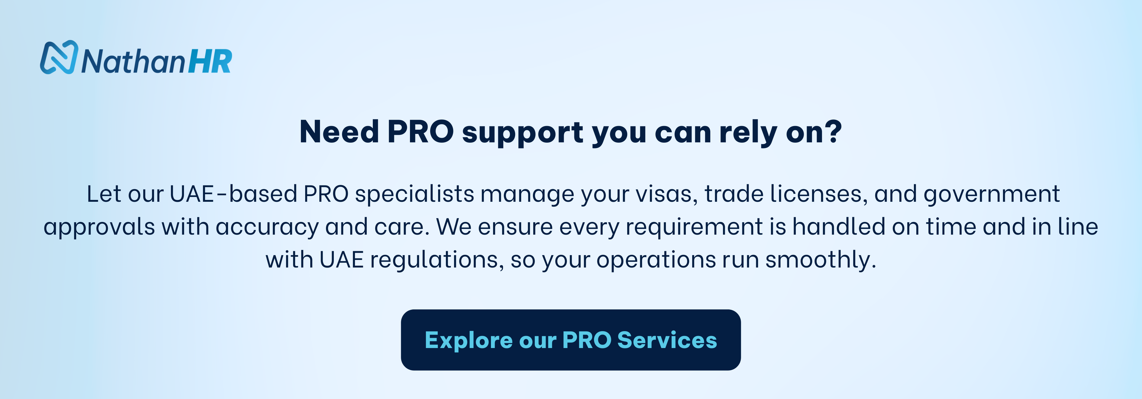 pro services in the UAE